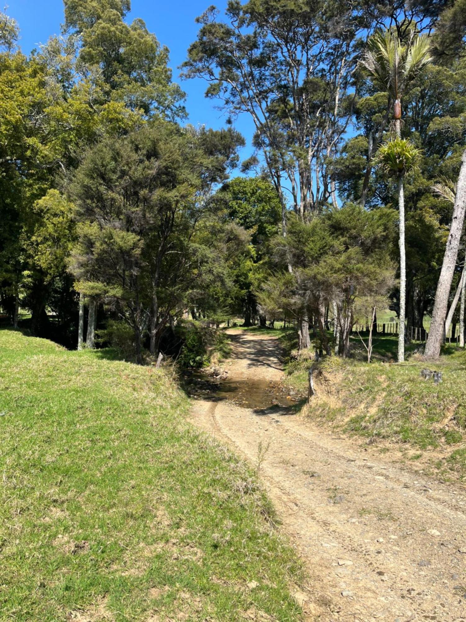 White Star Station Farm Holiday Park Coromandel Bagian luar foto