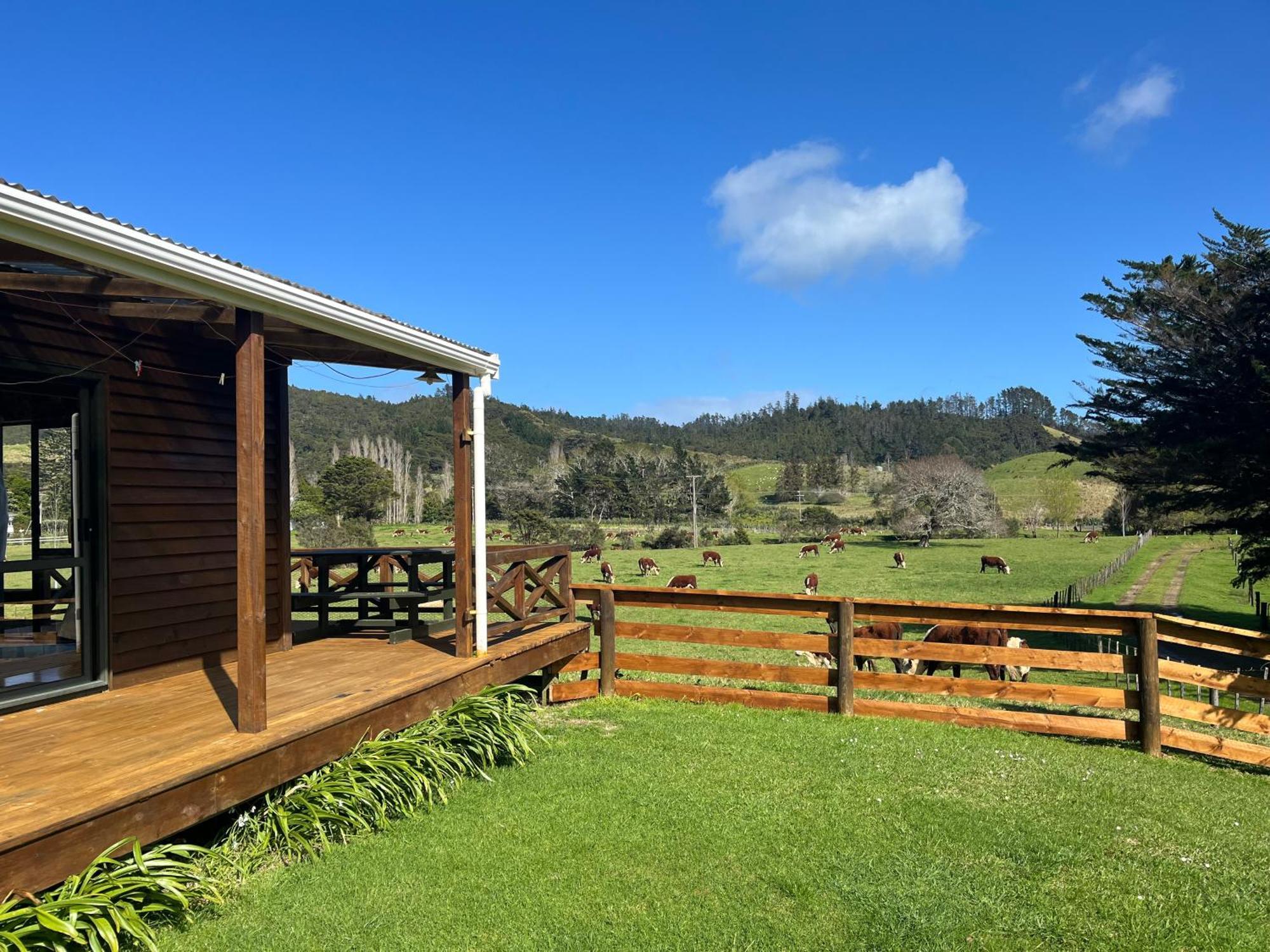 White Star Station Farm Holiday Park Coromandel Bagian luar foto